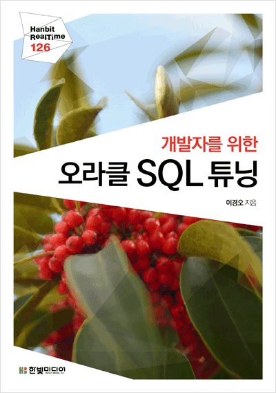 기북 180호 책, 개발자를 위한 오라클 SQL 튜닝